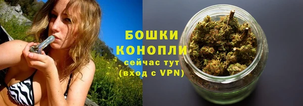 не бодяженный Новозыбков