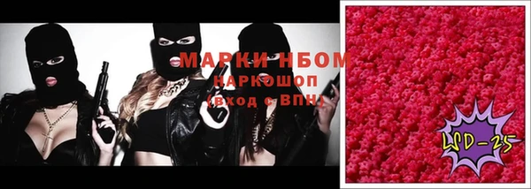 дурь Новодвинск