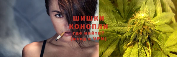 дурь Новодвинск