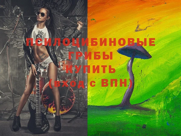 дурь Новодвинск