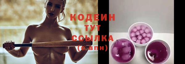 дурь Новодвинск