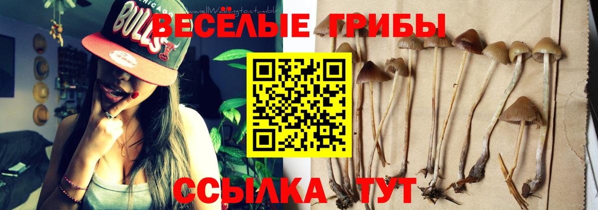 Галлюциногенные грибы GOLDEN TEACHER Качканар