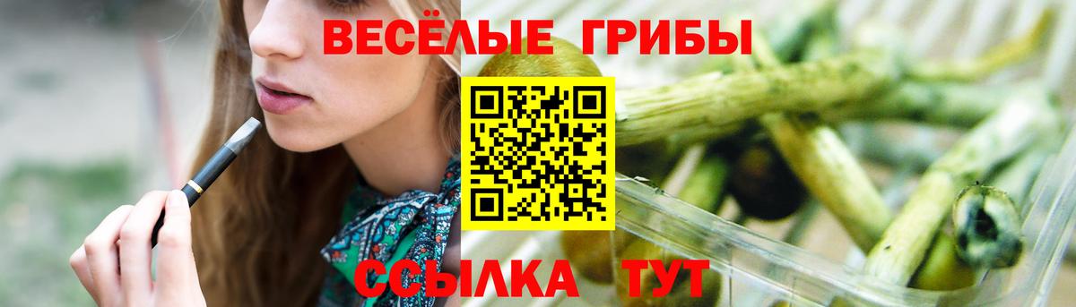 Качканар  Галлюциногенные грибы MAGIC MUSHROOMS  Вход с VPN  Псилоцибиновые грибы прущие грибы 