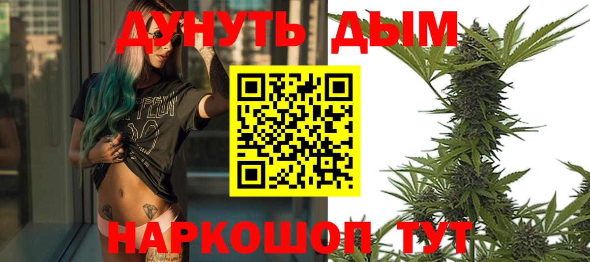 Каннабис сатива  Бошки Шишки планчик  Качканар  Вход с VPN  Канабис семена 